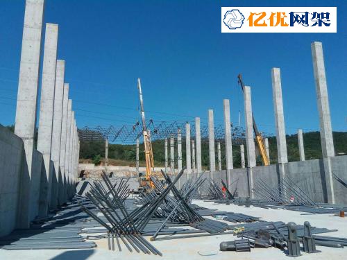 临沧料棚网架设计